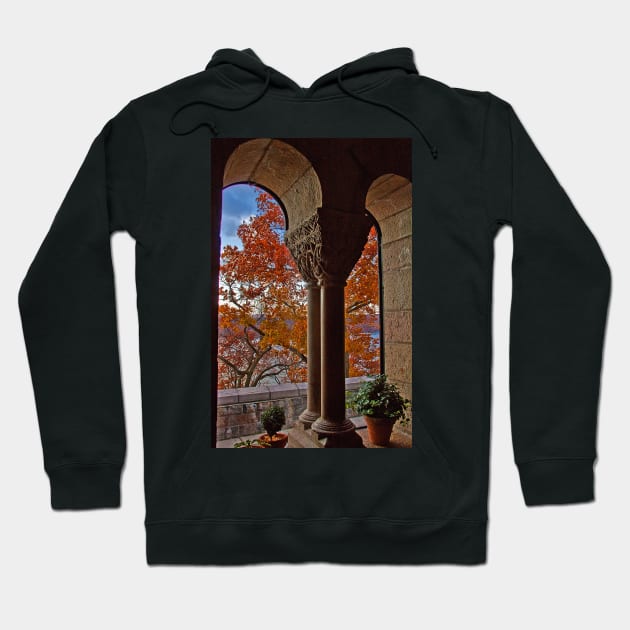 USA. New York. The Cloisters. Hoodie by vadim19